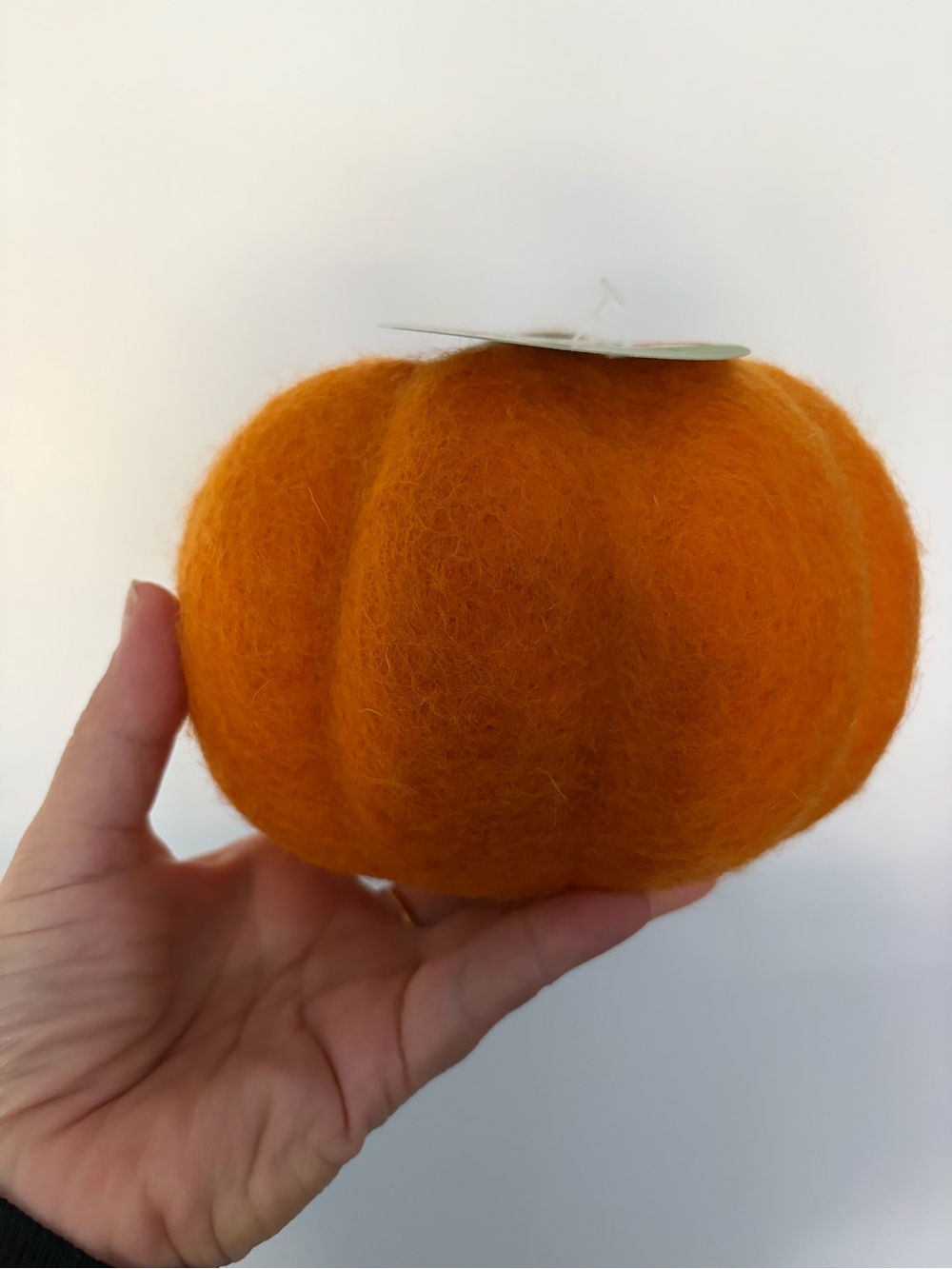 Trader Joeβs Handcrafted Felted Wool Pumpkin